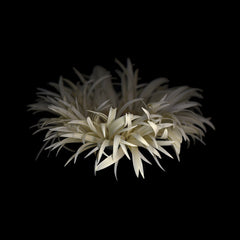 Darkness G5 Photograph by Doris Mitsch