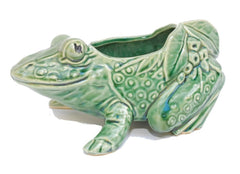 Frog Mccoy Cachepot