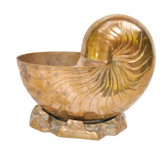 Brass Nautilus Shell Cachpot