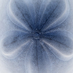 Light 2 Photograph by Light Mitsch